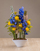 سفر التكوين